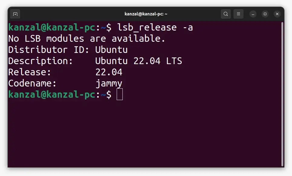 lsb_release -a command output