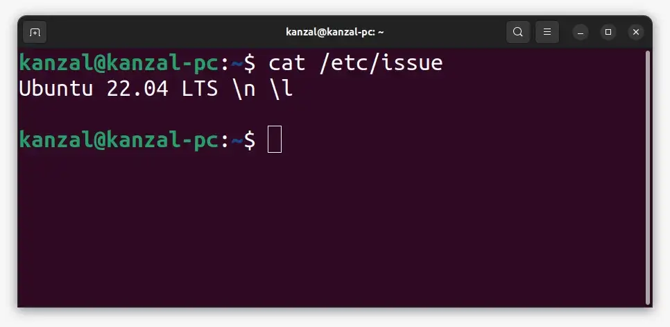 cat /etc/issue command output
