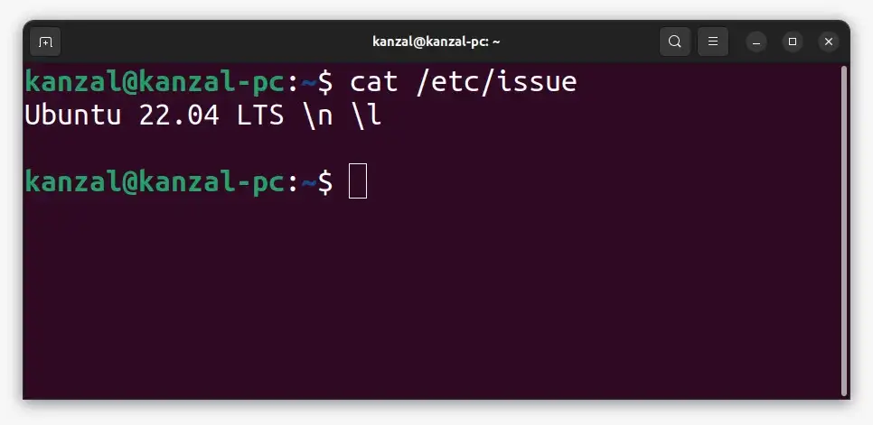check-ubuntu-version-with-cli-method-2